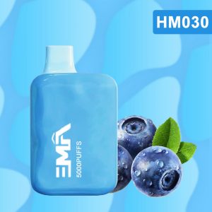 HM030 Blueberry disposable vapes