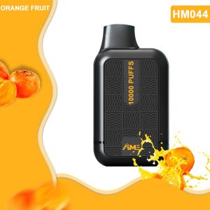 disposable vapes   Mango 